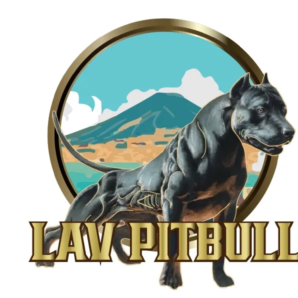 lavpitbull