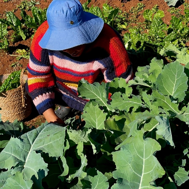 Aspiring Homemaker27