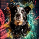 Happy Tails Portraits