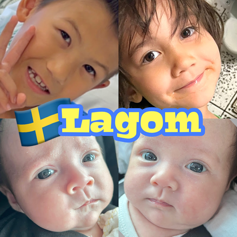 Lagom北欧田舎で子育て【4児双子ママ】