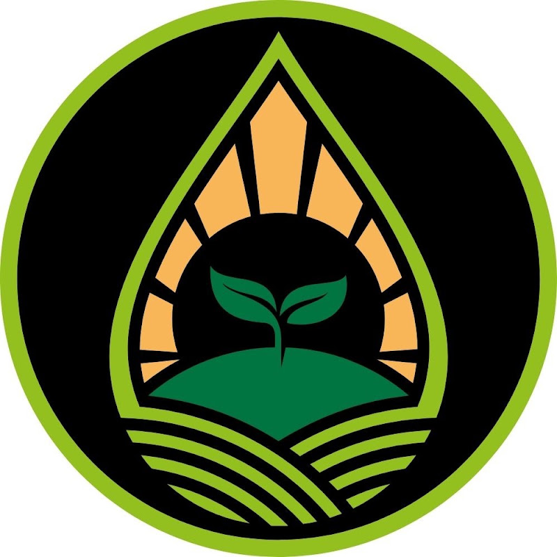 Limitless Growth Co