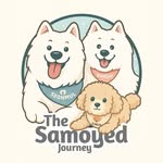 🐻‍❄️ซามอยด์พาเที่ยว The Samoyed Journey