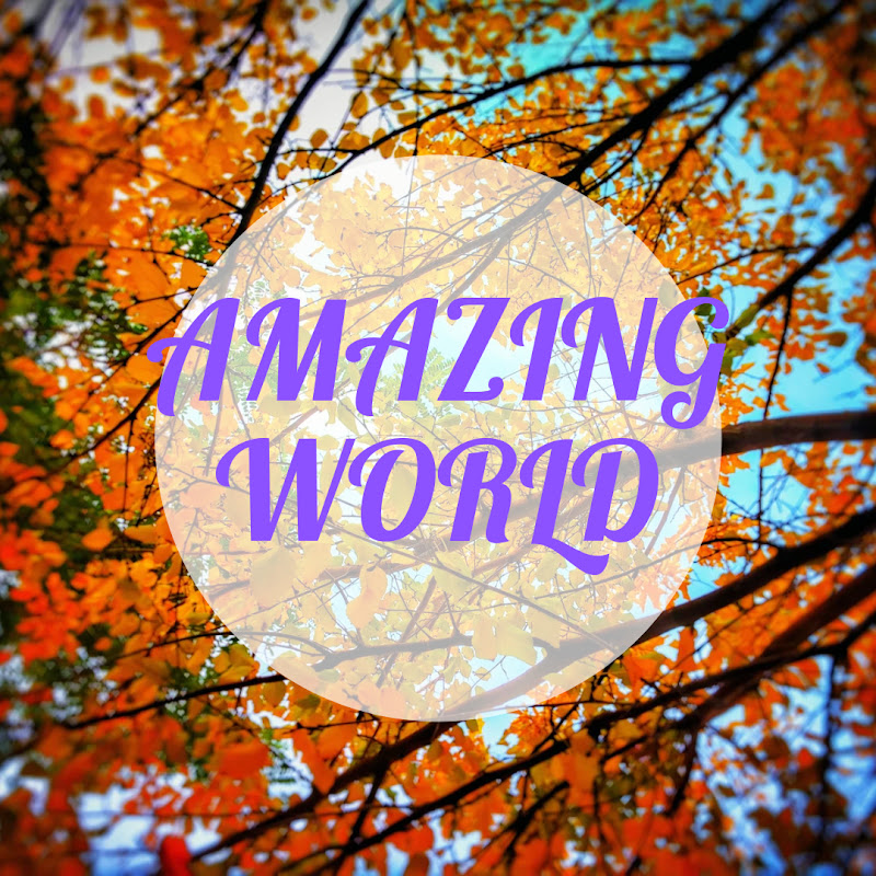celebrities world