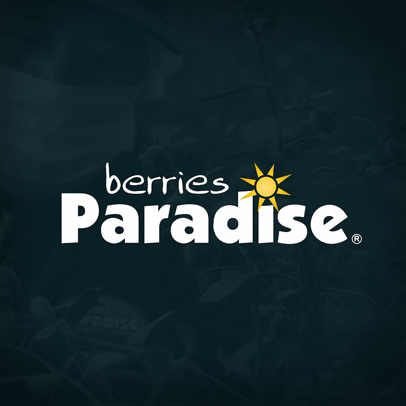 Berries Paradise Official