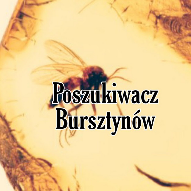 POSZUKIWACZ BURSZTYNU AMBER PROSPECTOR