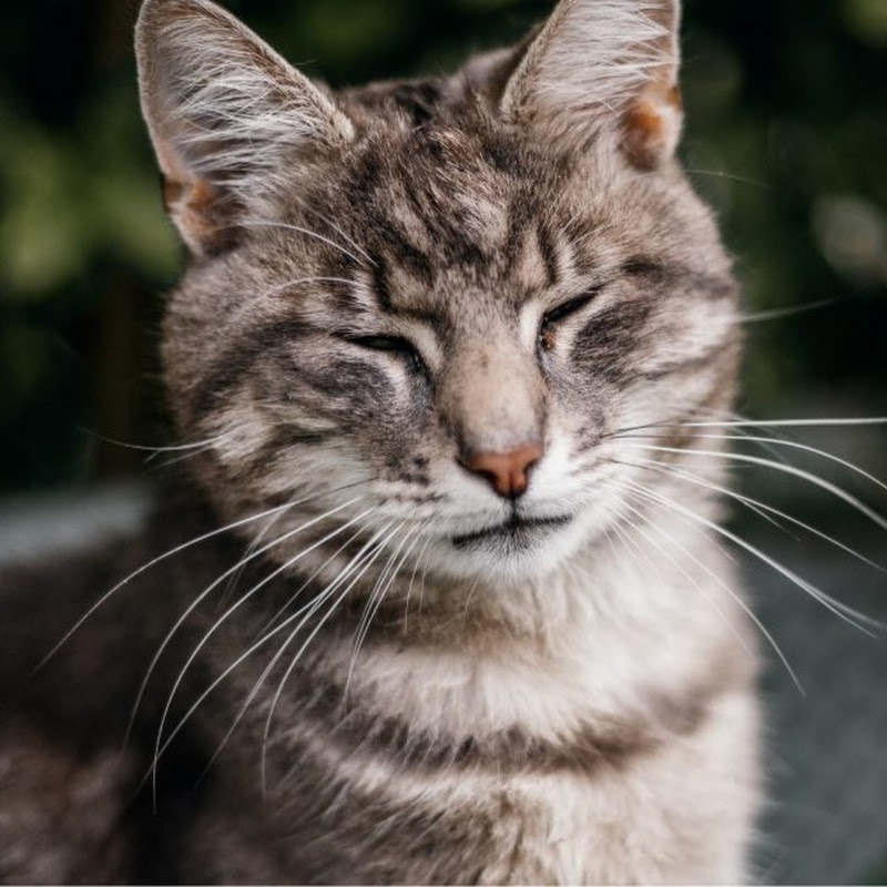 Rerlow • 2.3B views • 3 seconds ago……