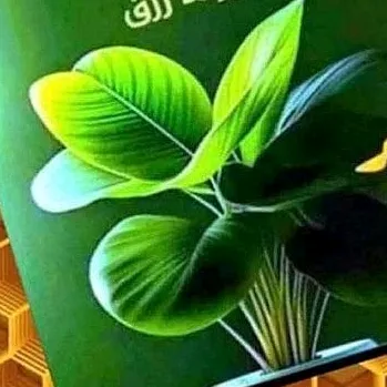 Mëñßūr منصور