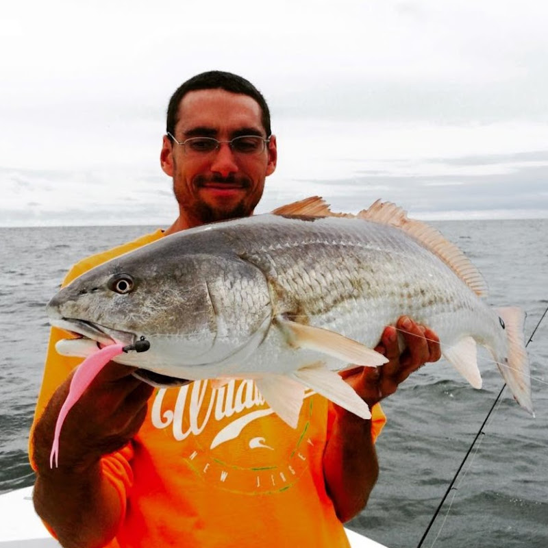 Sea-Money Fishing