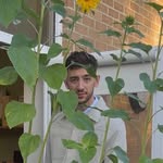 Mr Hallahan | Primary School Teaching