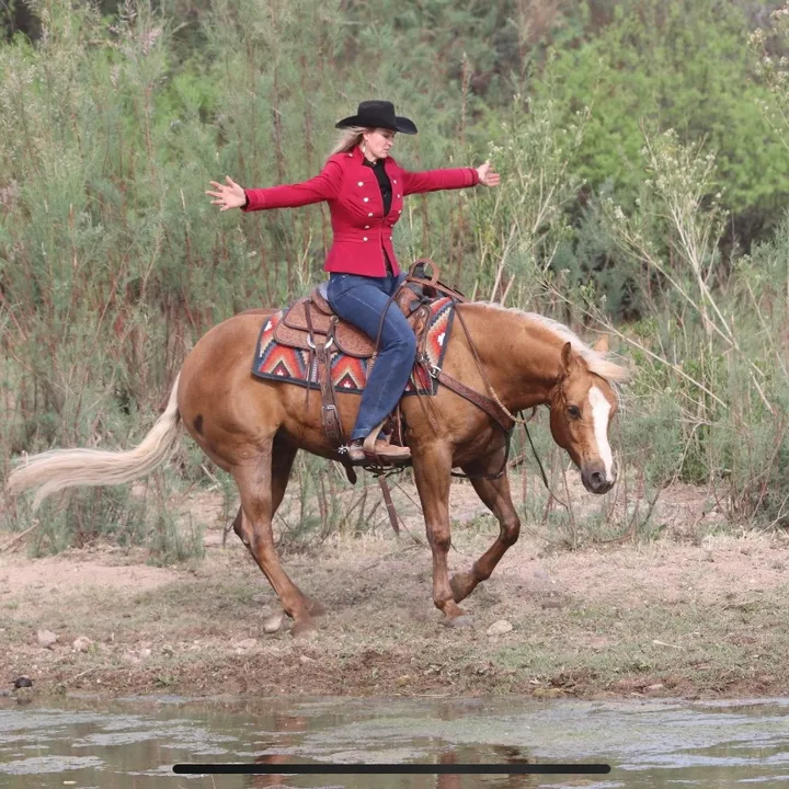 Turner Performance Horses