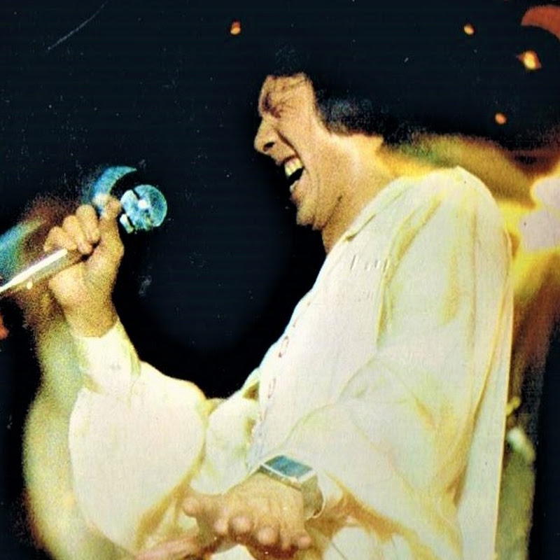 岑南羚 Lanny Shum
