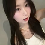 다냥이 meow