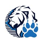 Lion Tech Venezuela | Accesorios Telefónicos