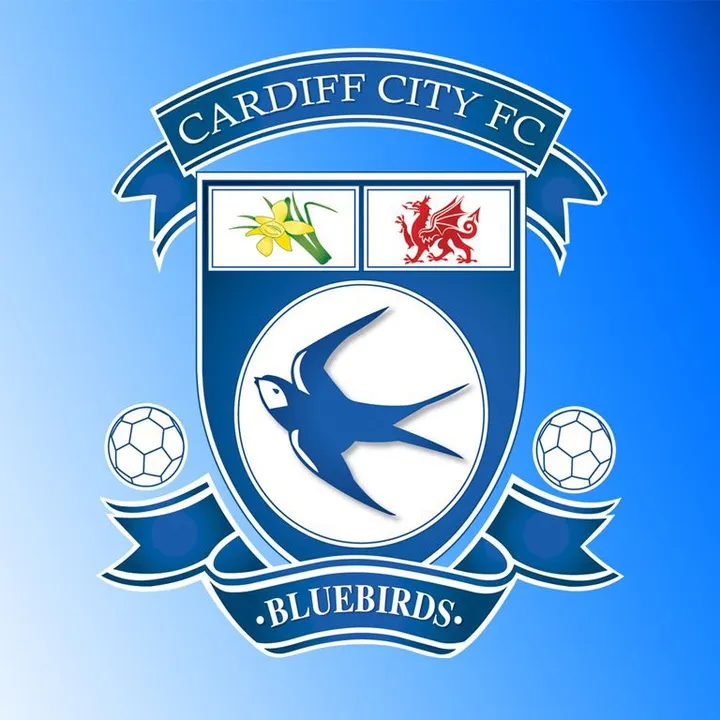 Bluebirdultras