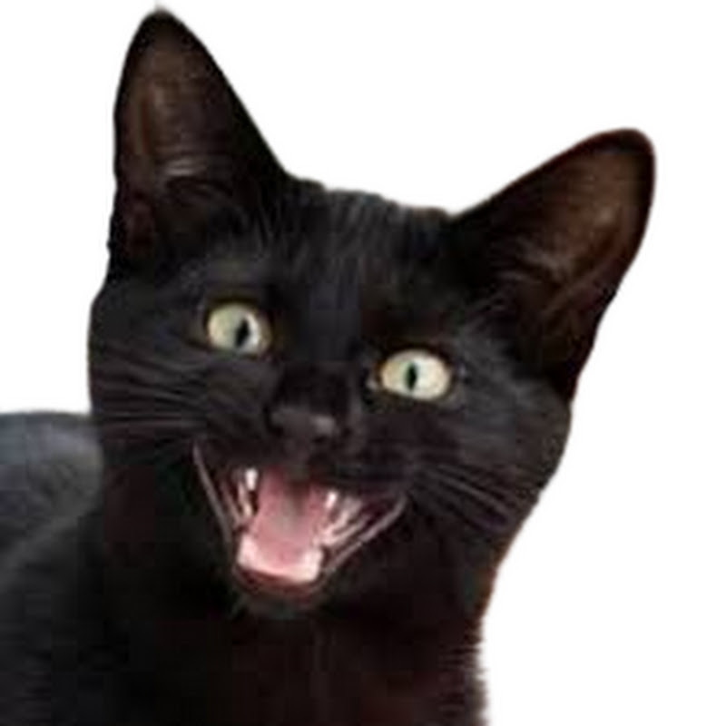 ¿Cómo Quieres que Cuente Estrellas?