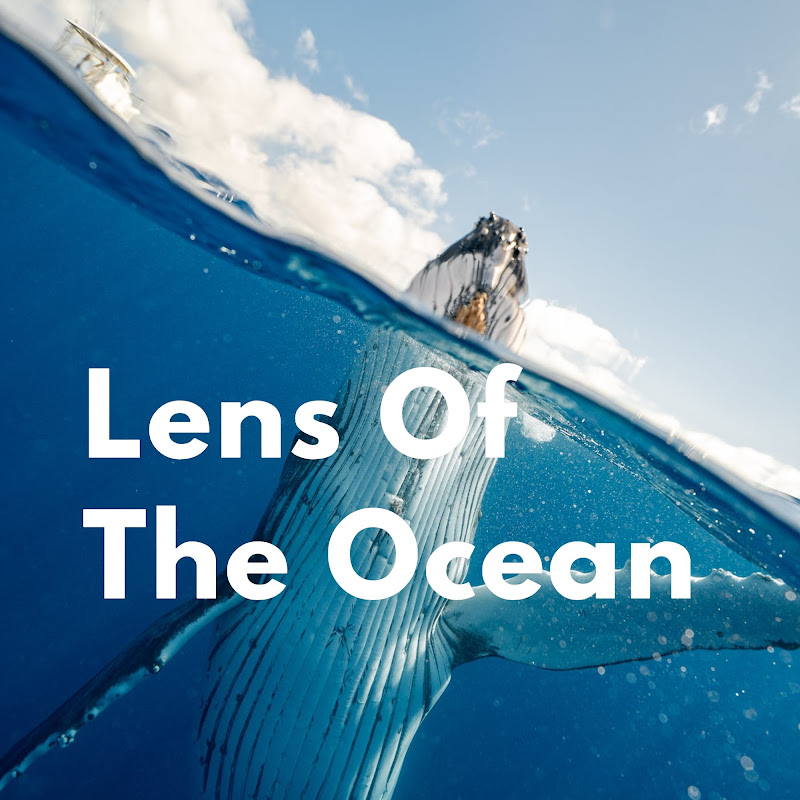 Lens Of The Ocean
