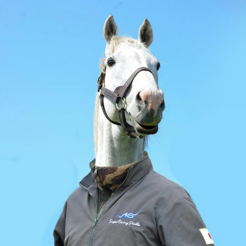 A dumb horse