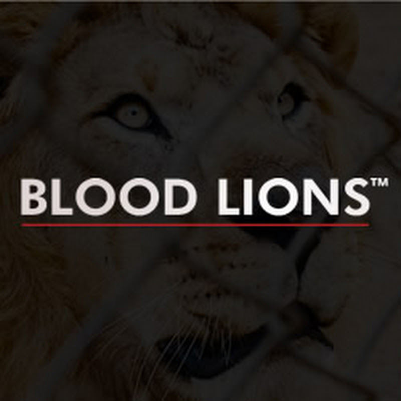 Blood Lions Official