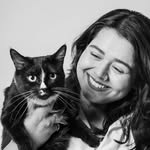 Billi wala Ghar | The Indian Cat House