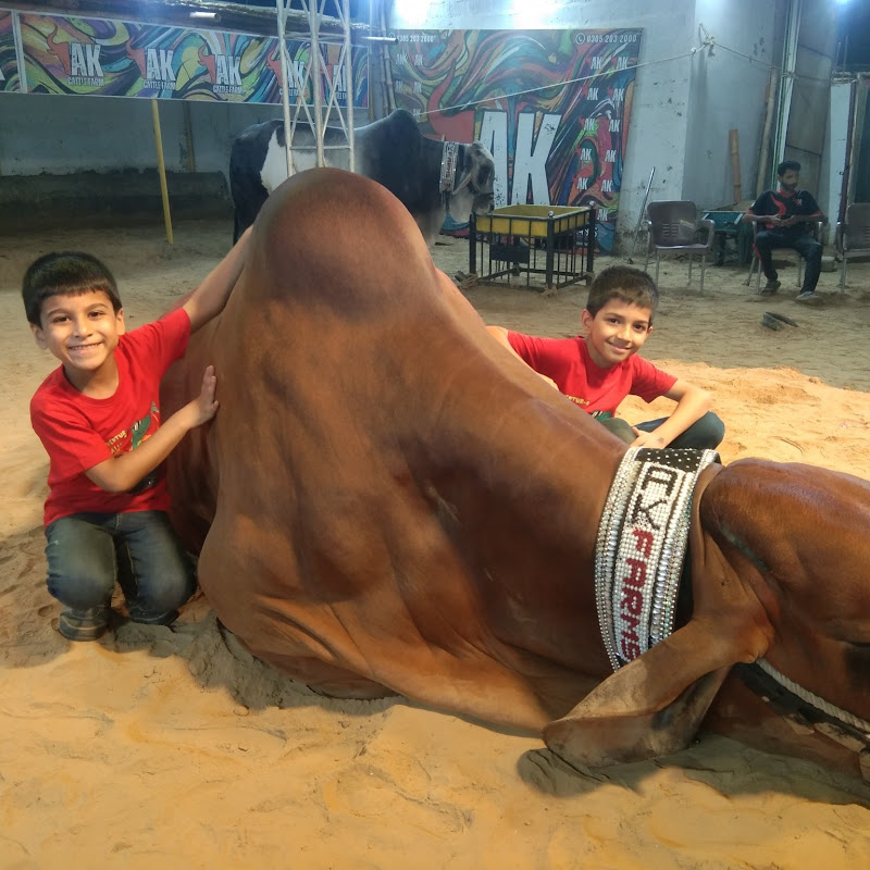 Mujtaba And Abdullah 