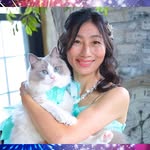 🌹NS🌹 with Cats Family 🎀Arie&Brigitte: Ragdoll🎀 Elphie:Siberian🐾