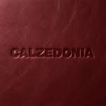 Calzedonia Official
