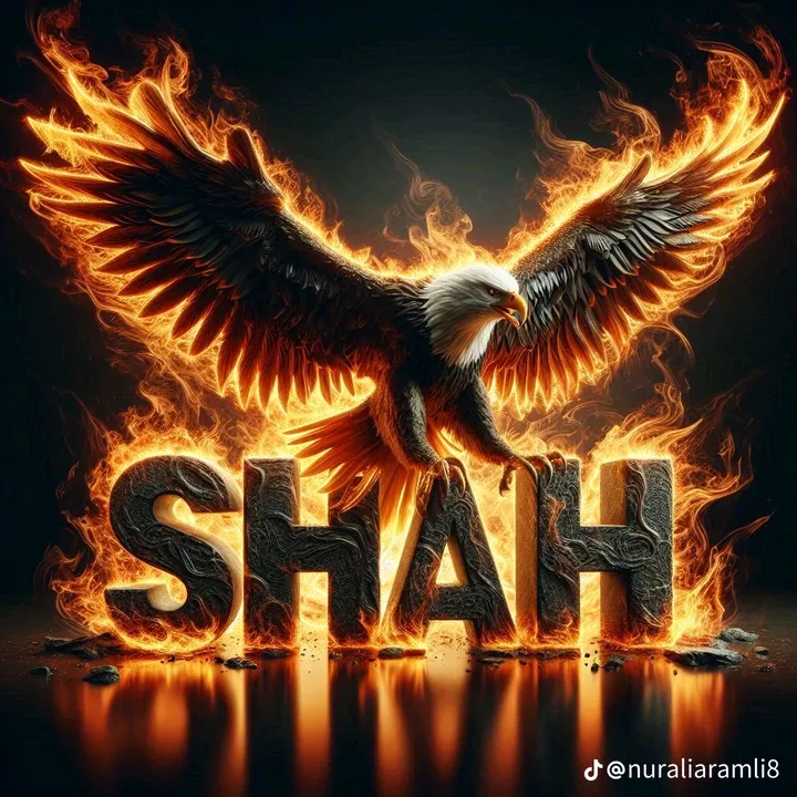 ﷽𝔸𝔹𝔾 𝕊ℍ𝔸ℍ﷽