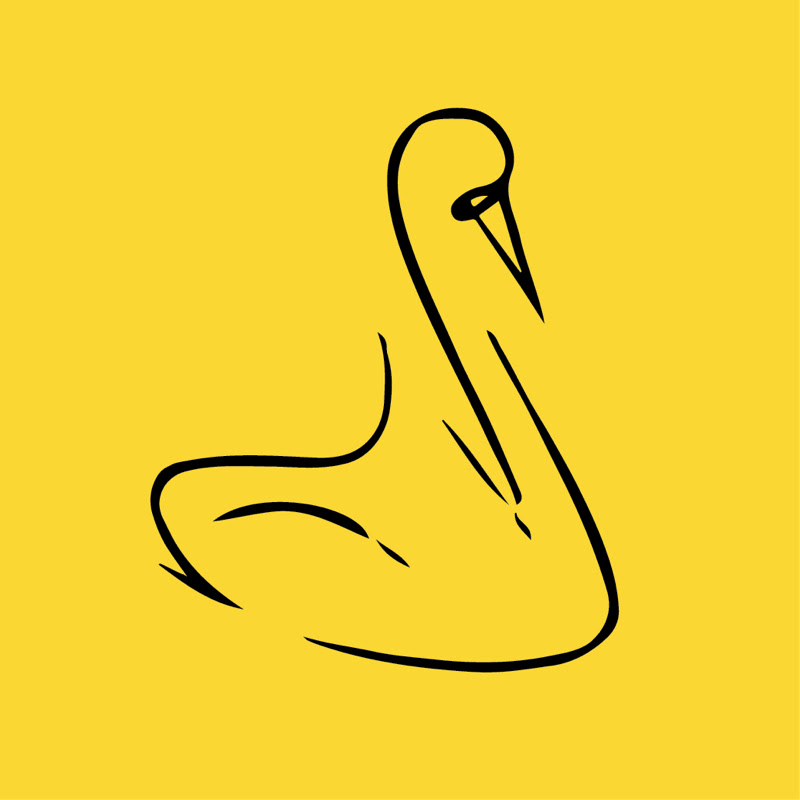 SwanFamilyPatterns
