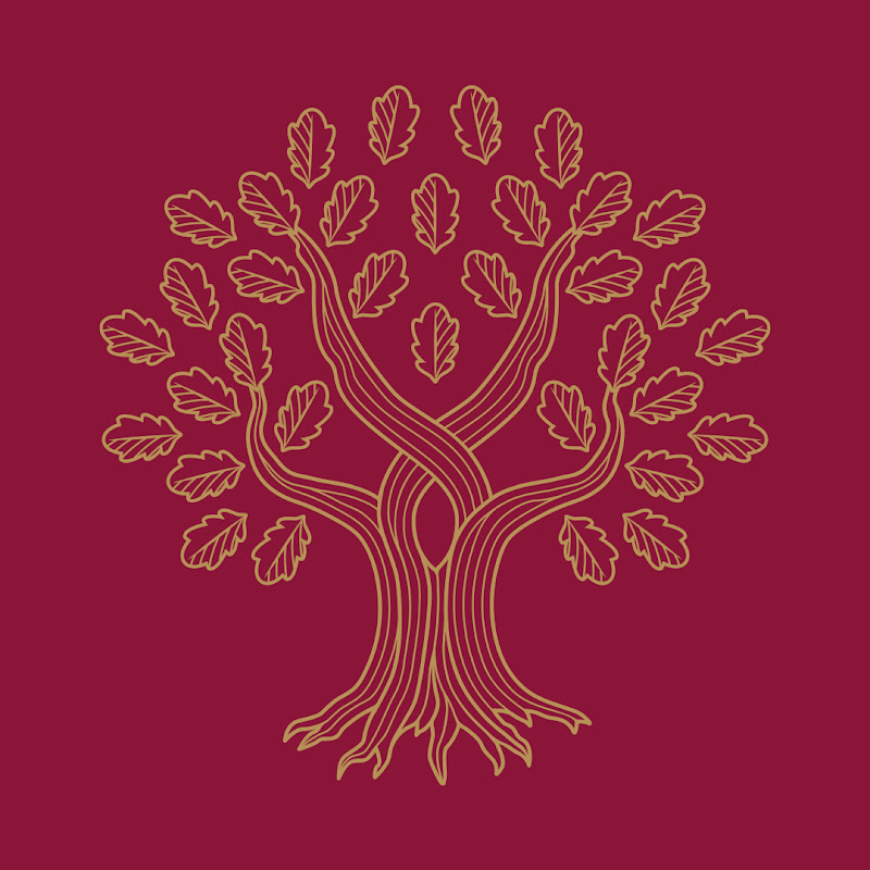 Universidad Panamericana