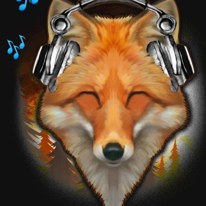 DJ Musik Fuchs
