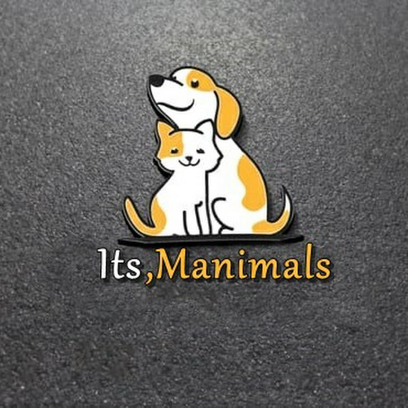 Its Manimals
