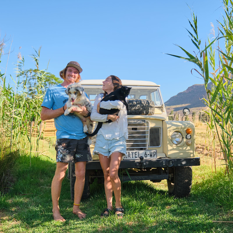 Wanderers and Whiskers