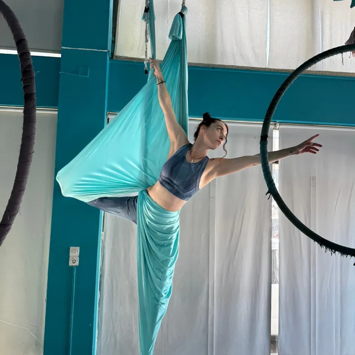 fairyhouseaerialarts