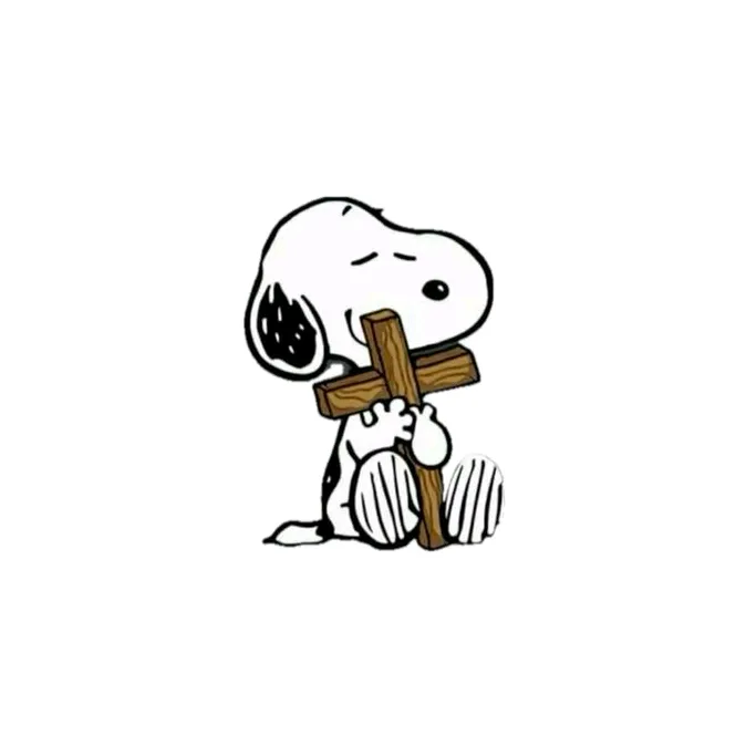 🤍Jésus_the_king🤍