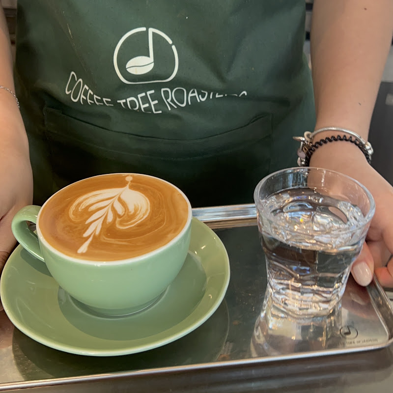 TNT BARISTA ACADEMY