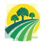 FINECITY LANDSCAPE LLC