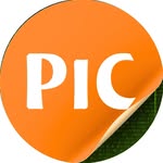 PIC Computer
