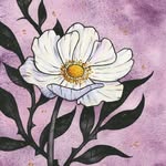 Ellen Wilberg | watercolor artist 🎨