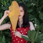 Jessie Han