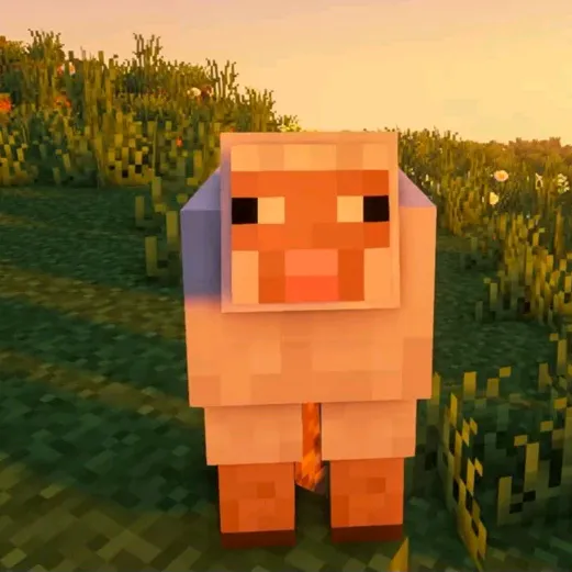 ThatOneMinecraftDude
