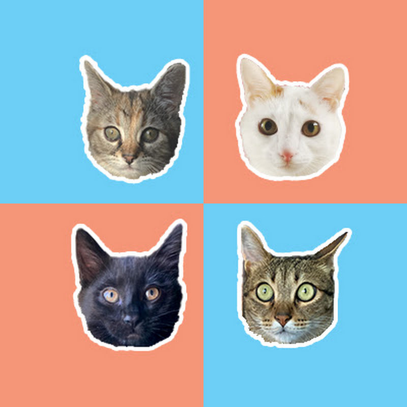 行喵記錄器 - My Purrfect Neko