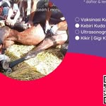 dokter hewan aneke kota batu