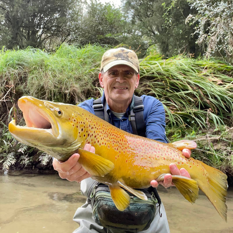 Shane Montgomery Creek Trout