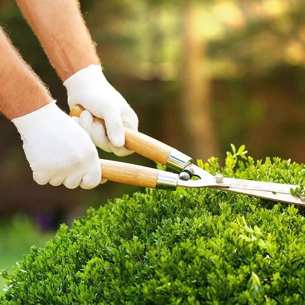 Le Jardinier Cool