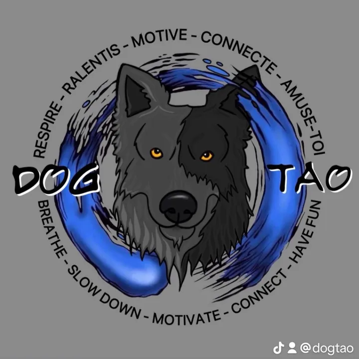 Dogtao_K9