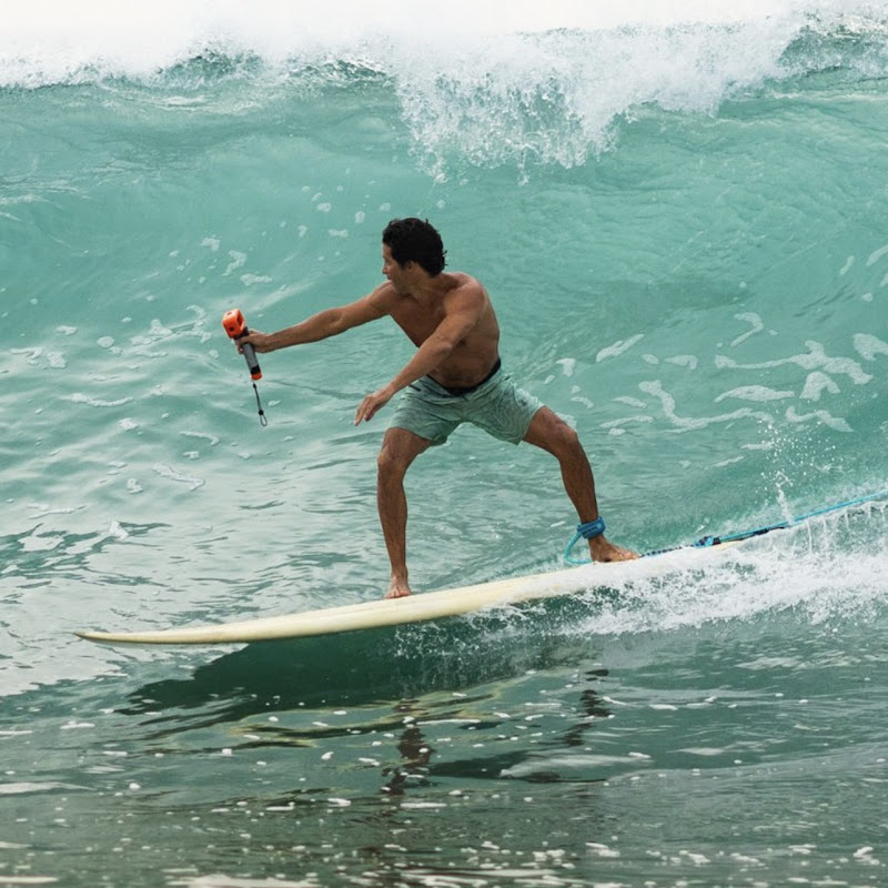 VivaLaSurf  