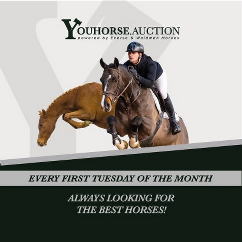 Youhorse.Auction