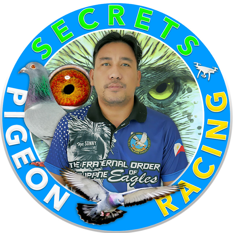 Secret of Pigeon Racing