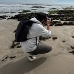 Gago Fotos