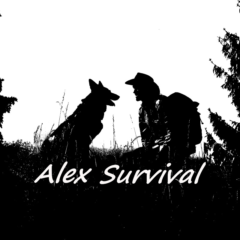 Alex Survival